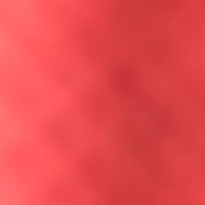 Meet your Posher, Mayra